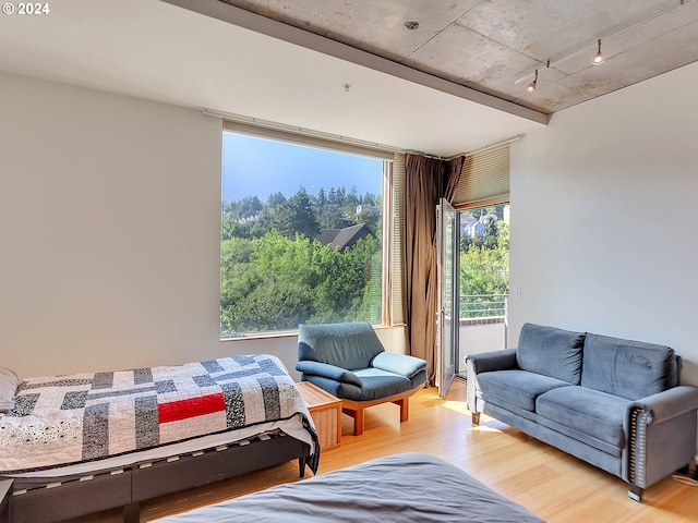 bedroom featuring light hardwood / wood-style floors and multiple windows