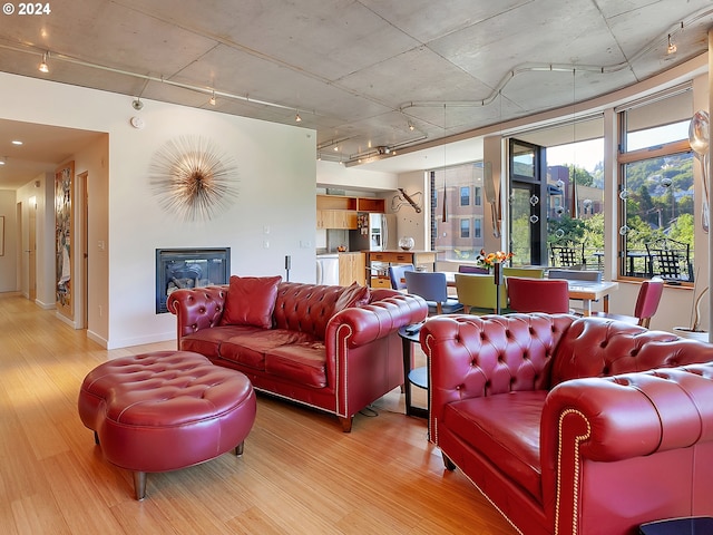 living room with hardwood / wood-style floors and track lighting