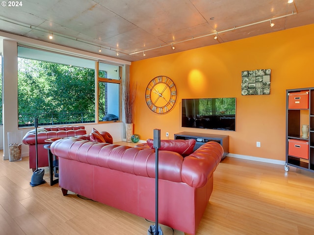 living room with light hardwood / wood-style flooring and rail lighting