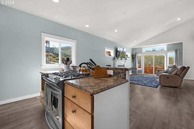 kitchen featuring dark hardwood / wood-style floors, stainless steel range with gas cooktop, and vaulted ceiling