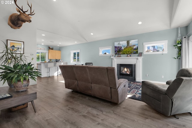 living room with high vaulted ceiling and light hardwood / wood-style flooring