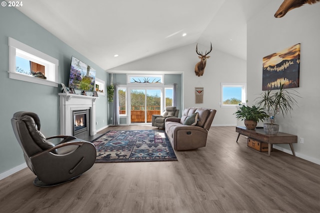 living room featuring wood-type flooring and high vaulted ceiling