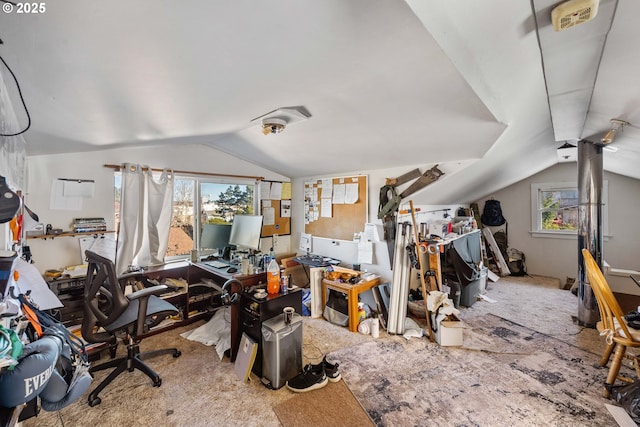 miscellaneous room with carpet floors and lofted ceiling