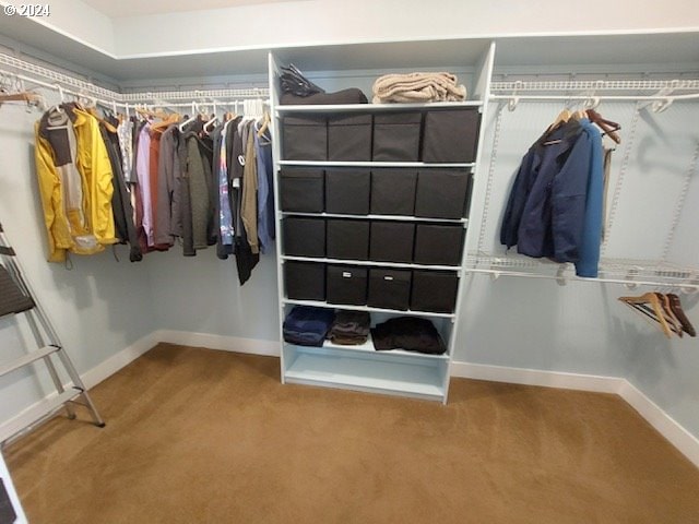 spacious closet with carpet flooring