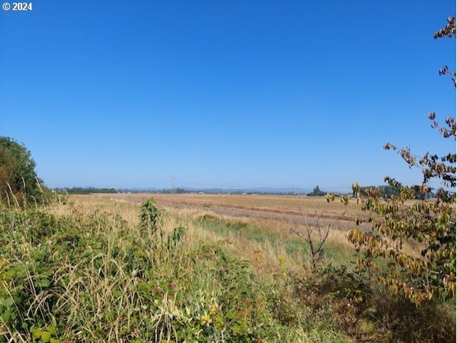 view of local wilderness featuring a rural view