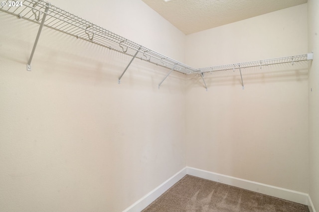 spacious closet featuring carpet floors