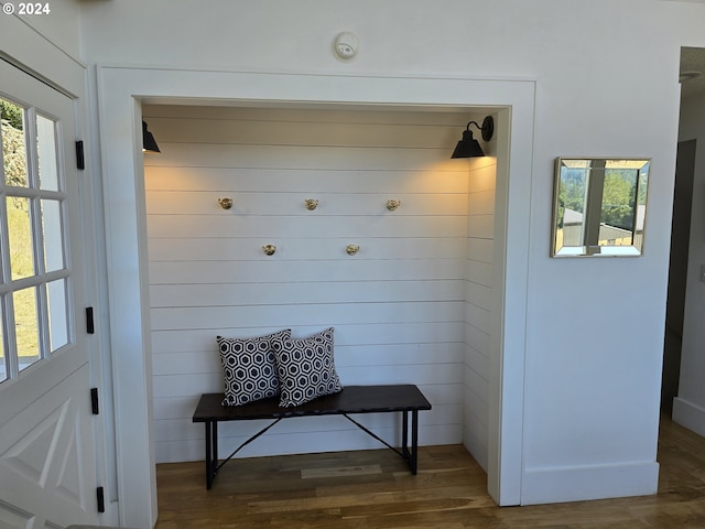 mudroom featuring dark wood-type flooring and a wealth of natural light