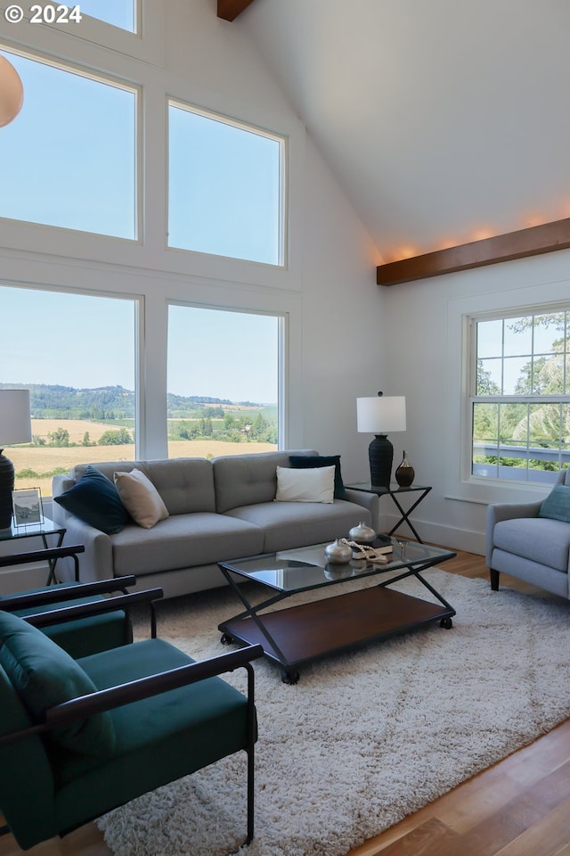 living room with high vaulted ceiling and hardwood / wood-style floors