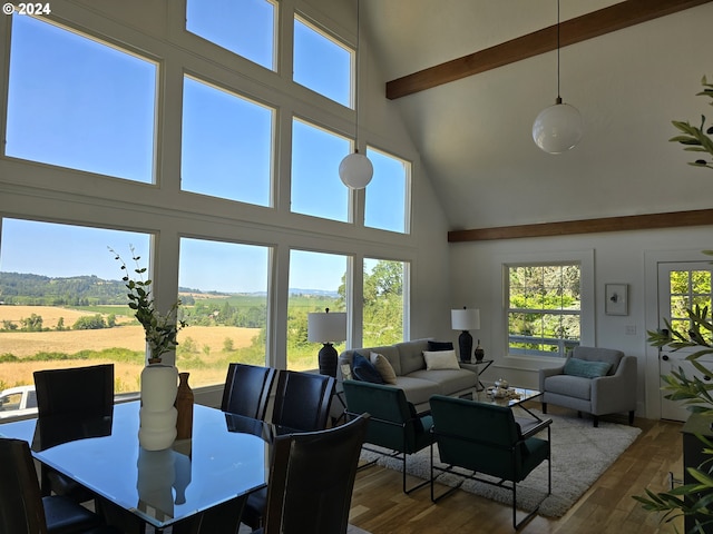 living room with a rural view, a towering ceiling, dark hardwood / wood-style floors, and beamed ceiling