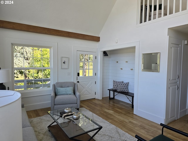 living room with hardwood / wood-style floors, a wealth of natural light, and high vaulted ceiling