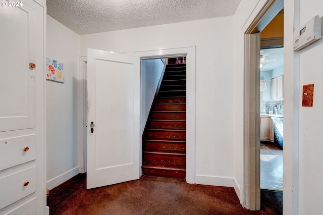 stairway featuring carpet and a textured ceiling