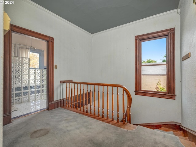 interior space featuring carpet floors and crown molding