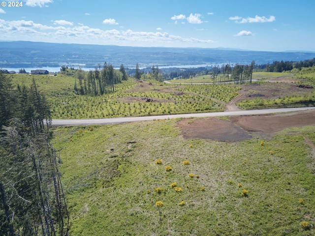 birds eye view of property with a rural view and a mountain view