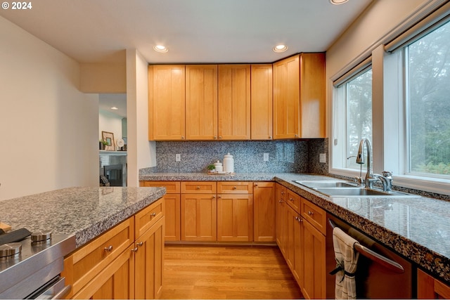 kitchen featuring light hardwood / wood-style flooring, a healthy amount of sunlight, sink, and dishwasher