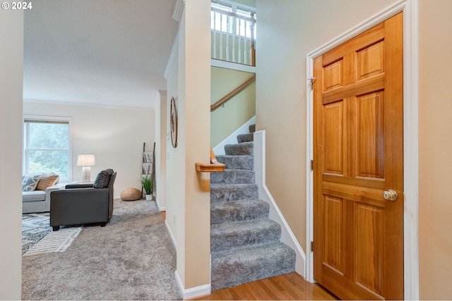 stairway with wood-type flooring