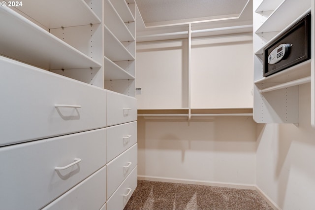 spacious closet featuring carpet