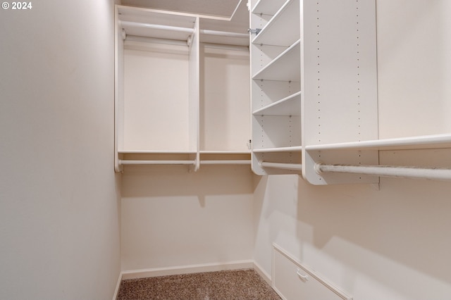 walk in closet featuring carpet flooring