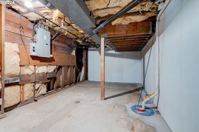 basement featuring electric panel