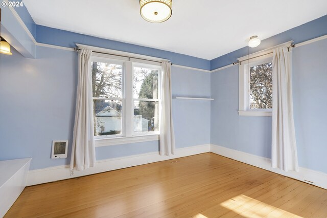 empty room featuring plenty of natural light and wood-type flooring