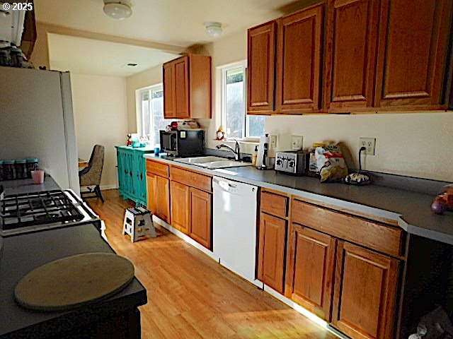 kitchen featuring white appliances, sink, and light hardwood / wood-style flooring