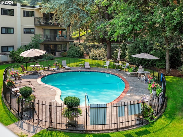 view of swimming pool featuring a patio and a yard