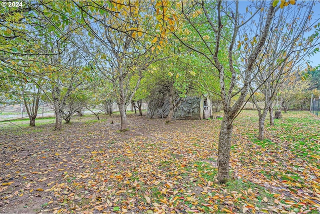 12365 SE Eola Hills Rd, Dayton, OR 97114 - view of yard