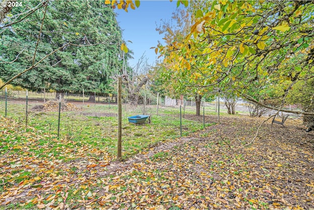 view of yard featuring a rural view