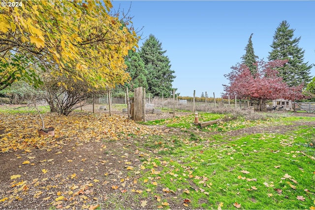 view of yard featuring a rural view