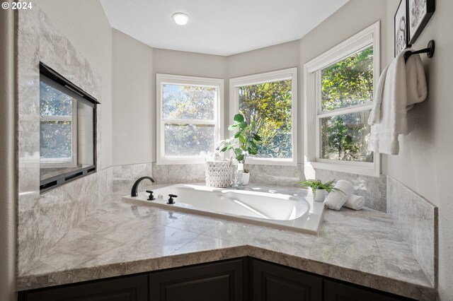 bathroom featuring a washtub