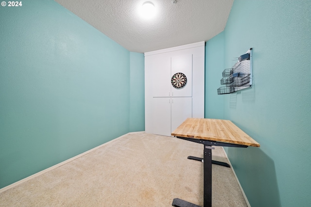 interior space with a textured ceiling and carpet flooring