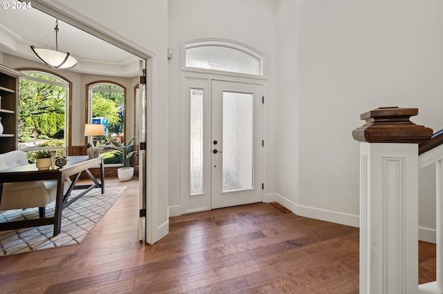 foyer featuring dark wood-type flooring