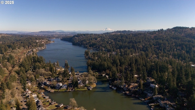 birds eye view of property with a water and mountain view