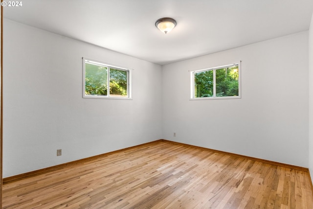 empty room featuring light hardwood / wood-style flooring and a wealth of natural light