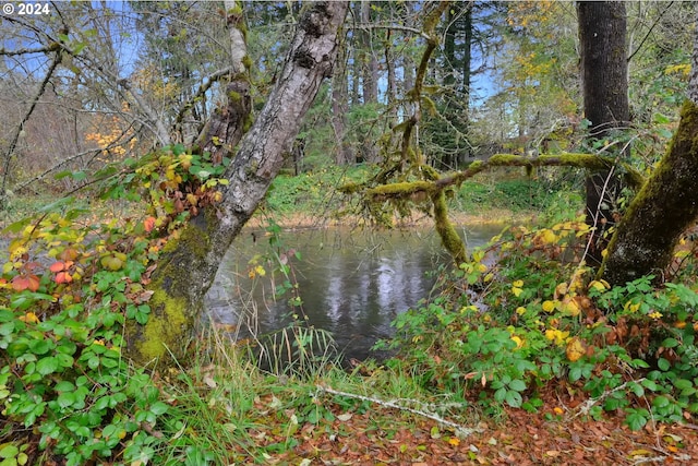 92932 Paschelke Rd, Marcola, OR 97454 - water view