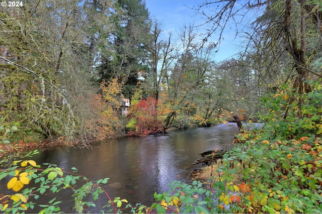 92932 Paschelke Rd, Marcola, OR 97454 - water view
