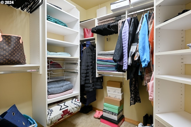 spacious closet featuring carpet flooring