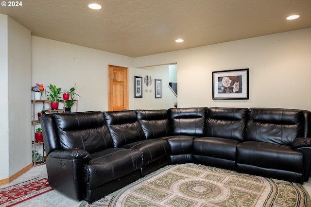 living room featuring carpet