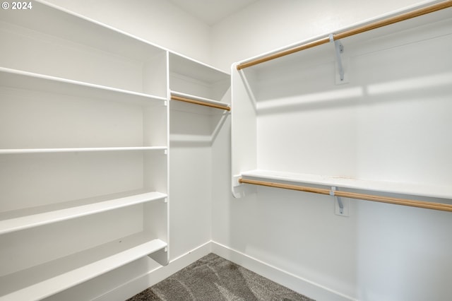 walk in closet featuring carpet