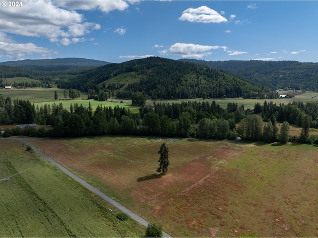 view of mountain feature featuring a rural view and a view of trees