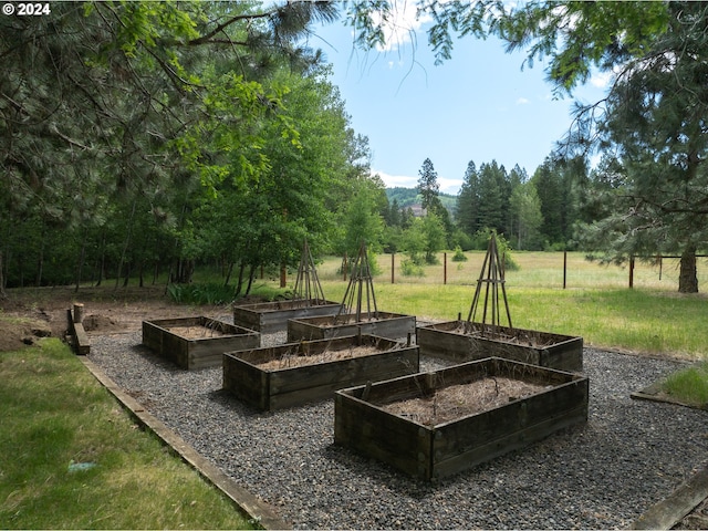 exterior space with a garden and a yard