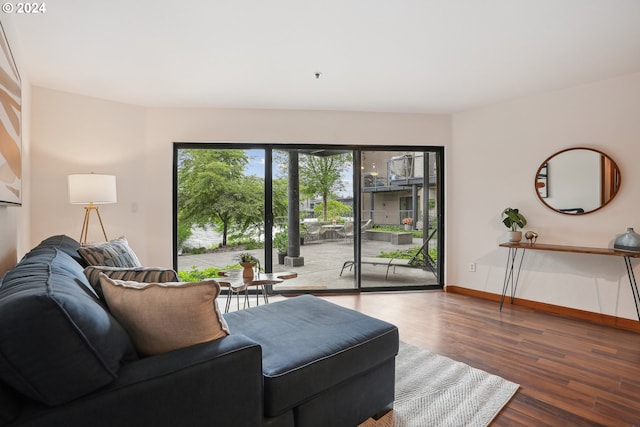 living room with dark hardwood / wood-style floors