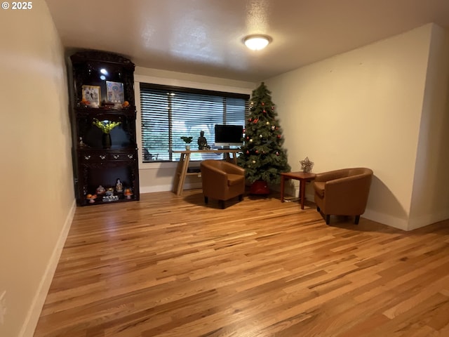 office space featuring light hardwood / wood-style flooring