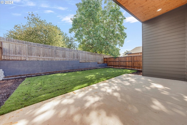 view of yard featuring a fenced backyard and a patio