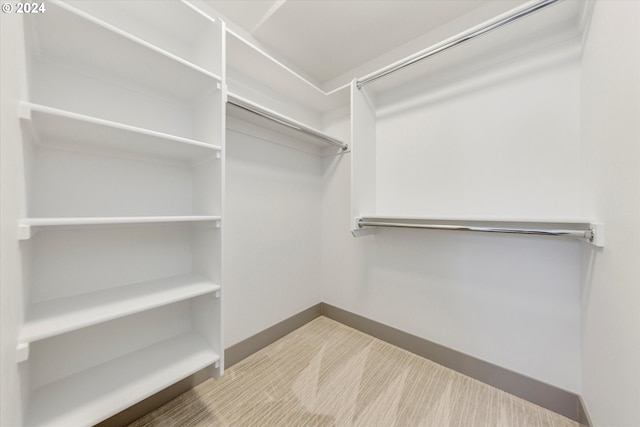 spacious closet with carpet