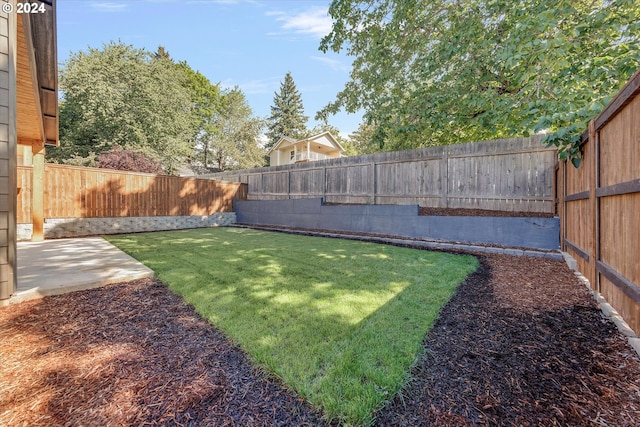 view of yard featuring a patio and a fenced backyard