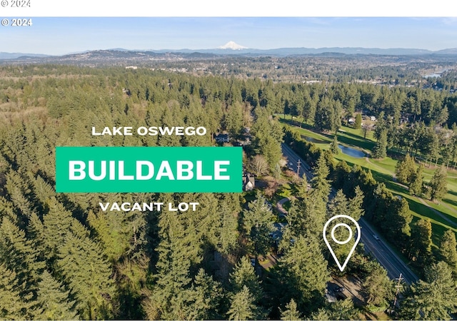 birds eye view of property featuring a mountain view