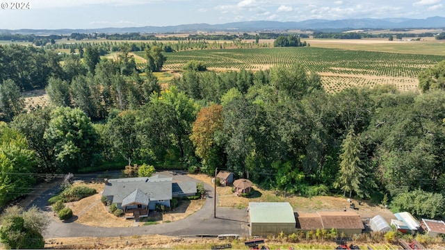 bird's eye view featuring a mountain view and a rural view