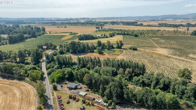 drone / aerial view featuring a rural view