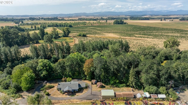 birds eye view of property featuring a mountain view and a rural view