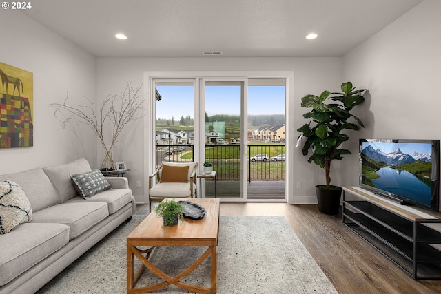 living room with wood-type flooring